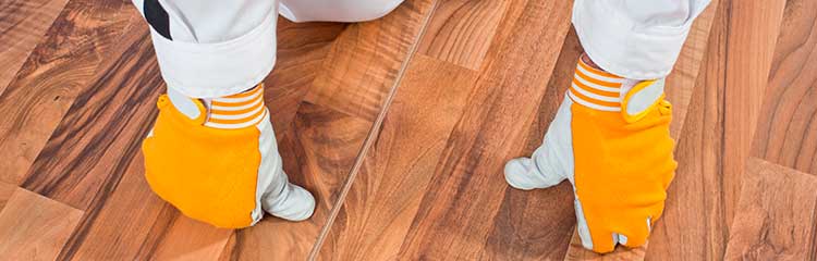 Checking wooden floor before refinishing