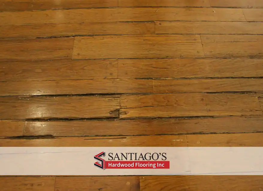 Discoloration on hardwood floor due to water damage.