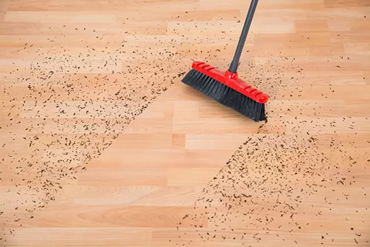 Cleaning Hardwood Flooring